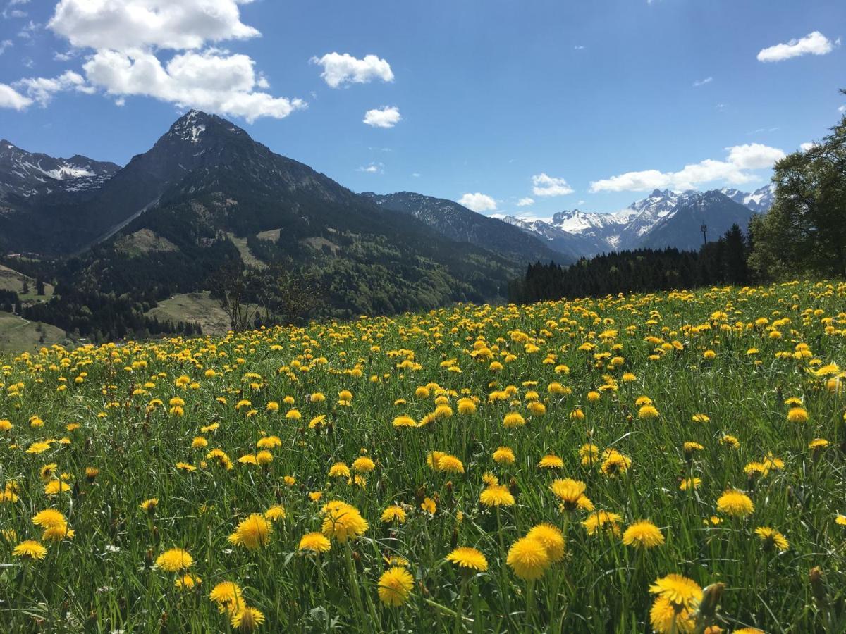 Bergfex Falkenberg 202 Mit Sommer-Bergbahnticket Oberstdorf Dış mekan fotoğraf